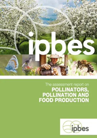 assessment_cover_pollination